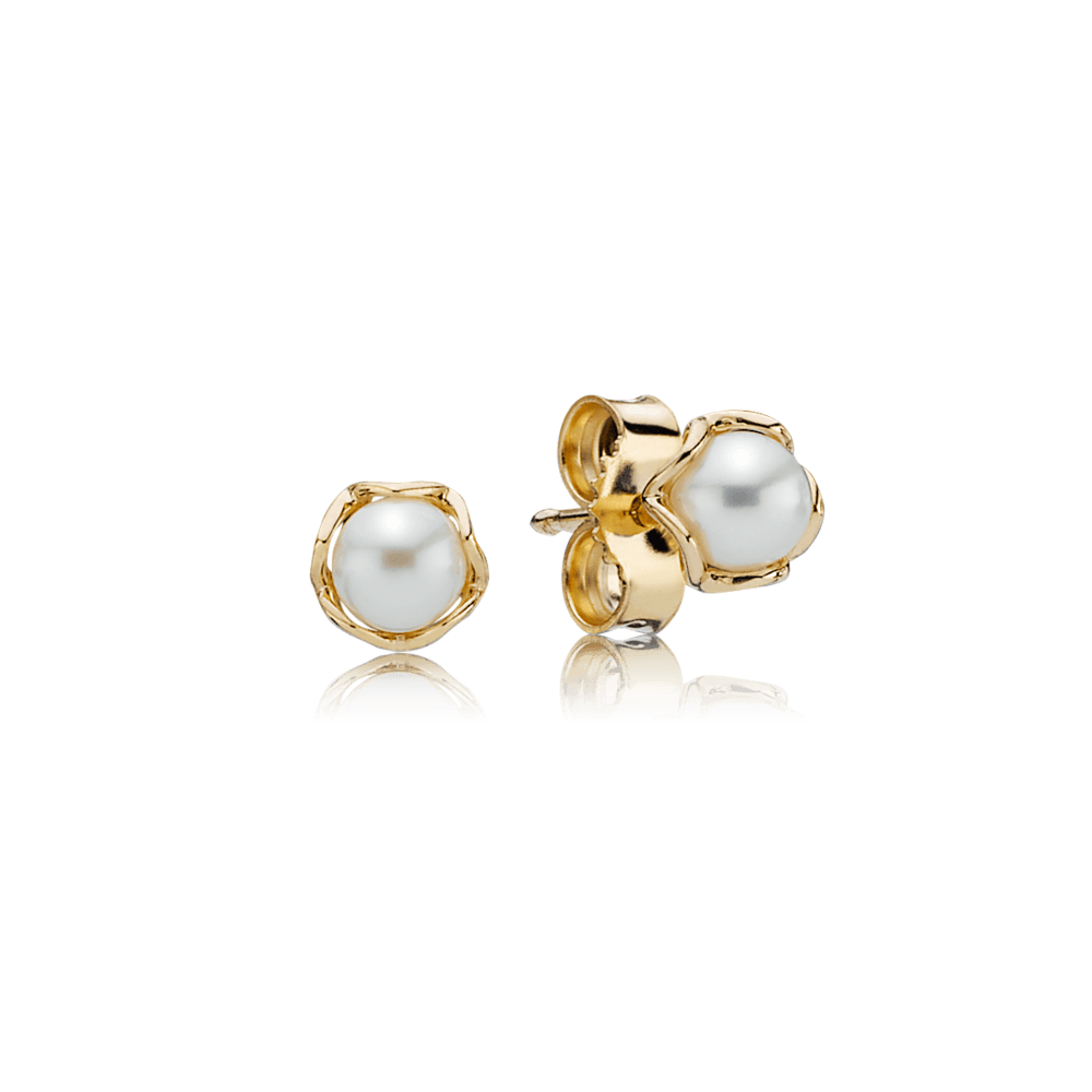 Aretes elegancia cultivada, perla blanca Oro 14K