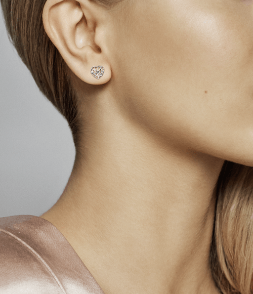 Aretes de botón Árbol de familia