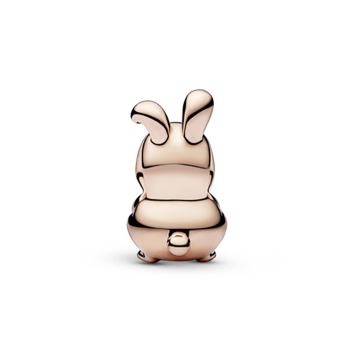 Charm Año chino del Conejo