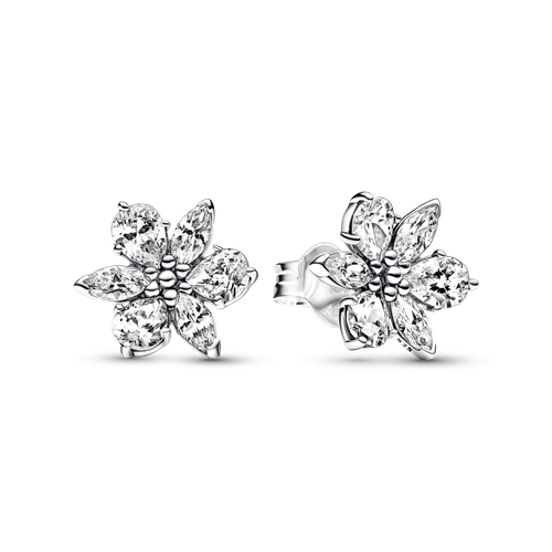 Aretes de botón Racimo herbario reluciente Pandora Plata Esterlina