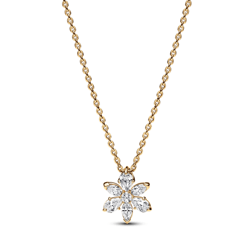 Collar Herbario Brillante