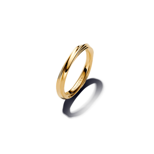 Anillo Torcido