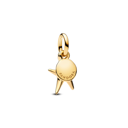 Charm Colgante Doble Estrella de Mar