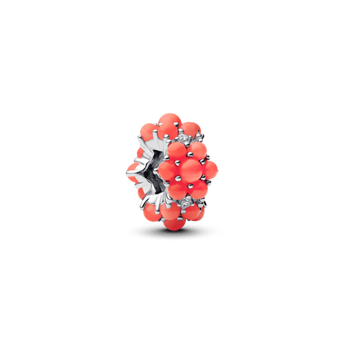 Charm Océano de Color Coral