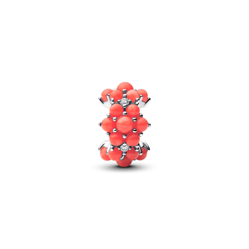 Charm Océano de Color Coral
