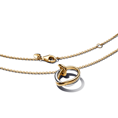 Collar con Colgante en Dos Tonos de Forma Orgánica