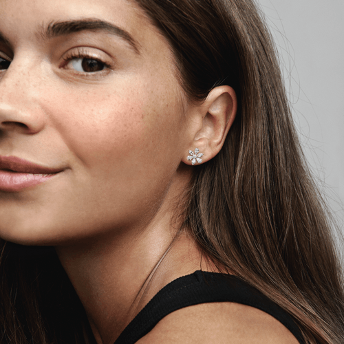 Aretes de Botón Herbario Brillante Rosa