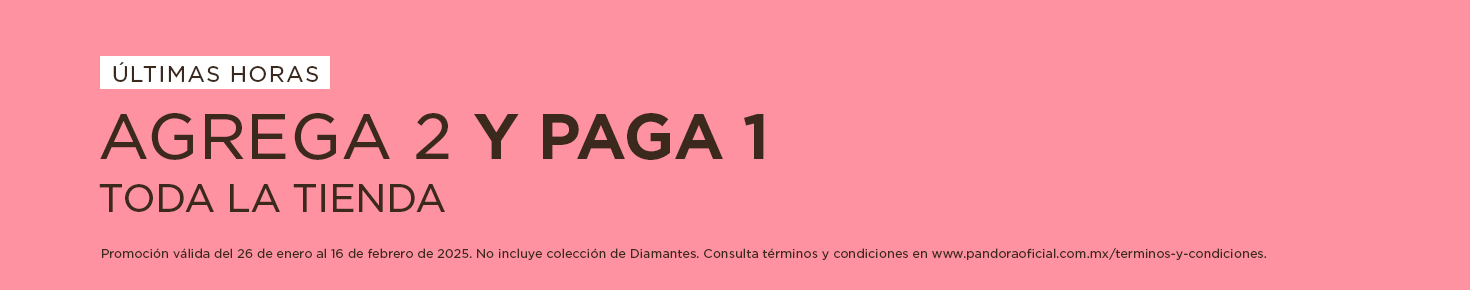 2x1